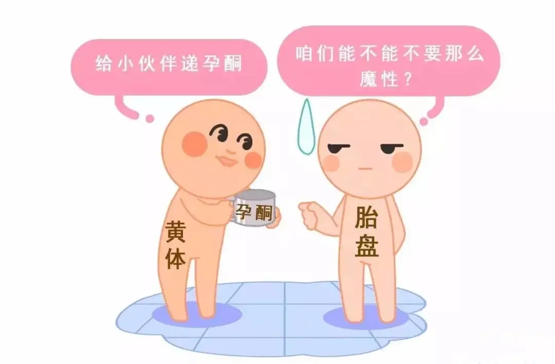 HCG和孕酮低一定會(huì)流產(chǎn)？備孕女性必須知道的孕早期“秘密”