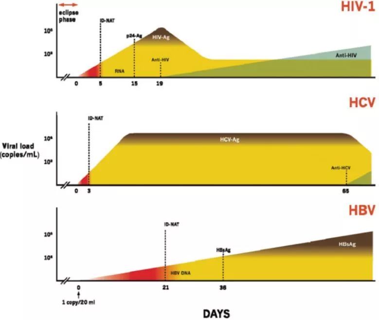 感染各標(biāo)志物檢測(cè)的“窗口期”示意圖